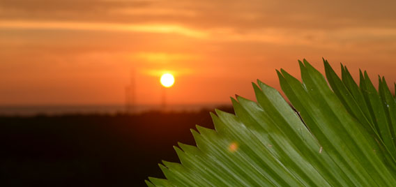 Sunset view
