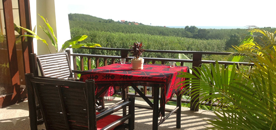 Terrace